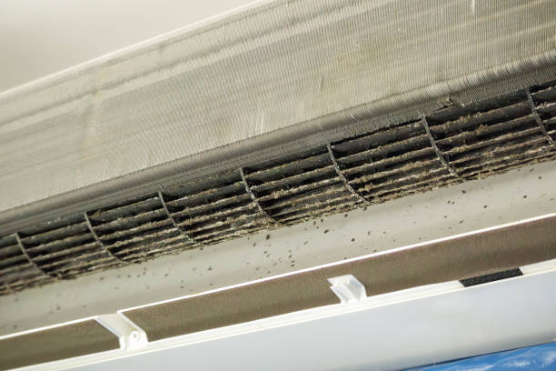 Best Residential Air Duct Cleaning  in Verona Walk, FL